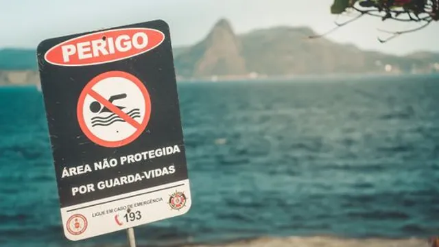 Primeira Visão de Tubarão-branco na Área de Distribuição de Espécies Mediterrâni