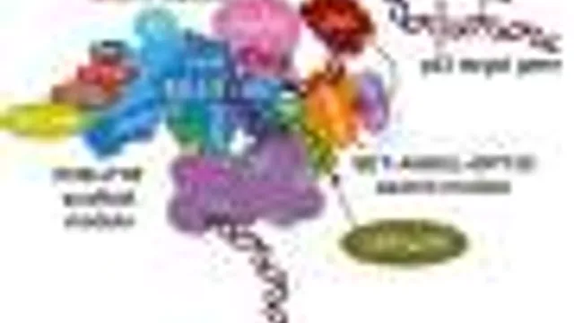 Modificador Epigenético MLL4: um Caso de Câncer em Diferentes Tipos de Tumores