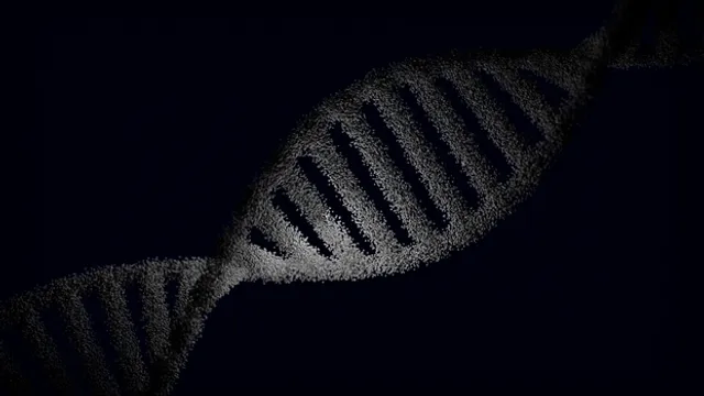 Cientistas desligam a reparação de DNA do câncer para superar resistência a medi