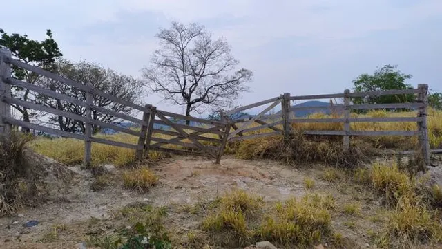 Tereza Cristina: Senado Aprova Projeto de Dívida Rural com Abertura para Ideias 