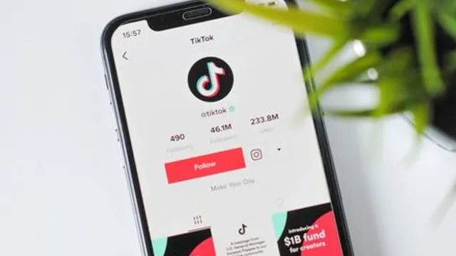 A AI de Fim do Fio em TikTok: Um Problema Muito Mais Grave do que Você Pensa
